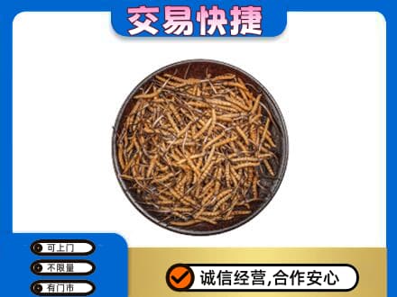 商丘回收散虫草